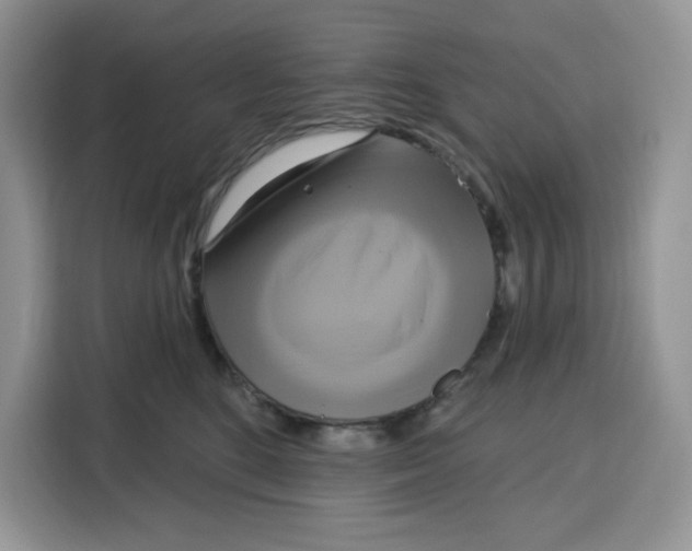 X0000115090520200911241216