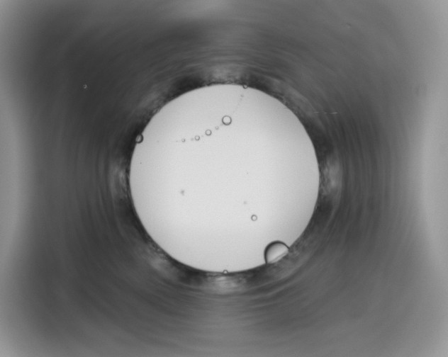 X0000115090522200911241216