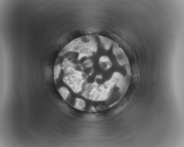X0000115090523200911241216