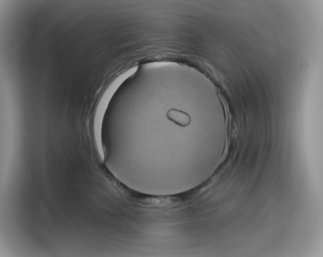 X0000115090524200911241216