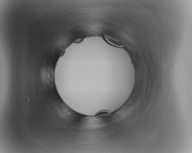 X0000115090528200911241216