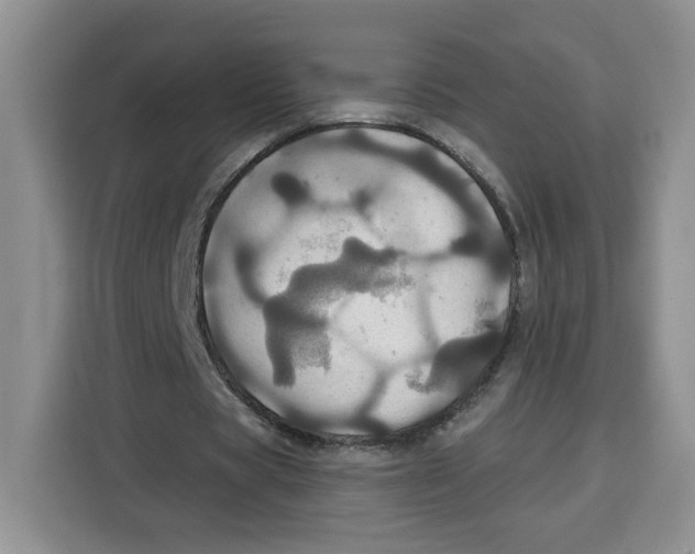 X0000115090529200911241215