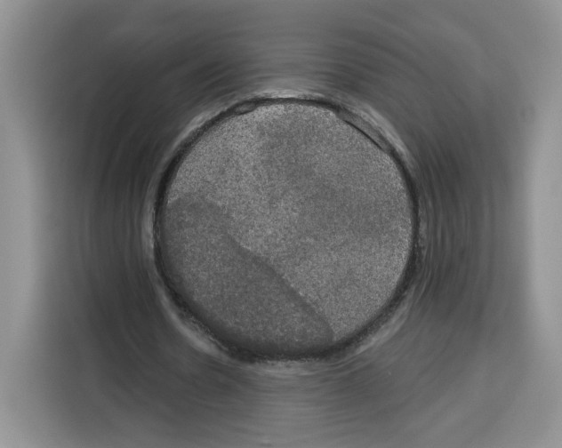 X0000115090530200911241215