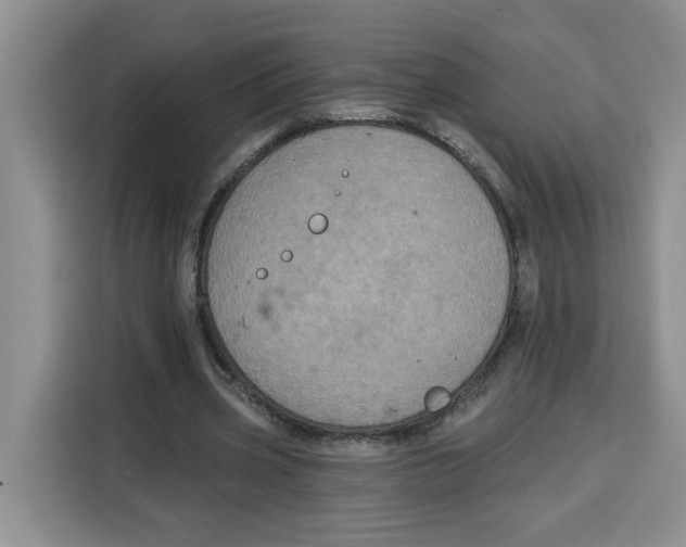 X0000115090533200911241215