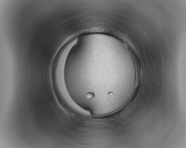 X0000115090534200911241215