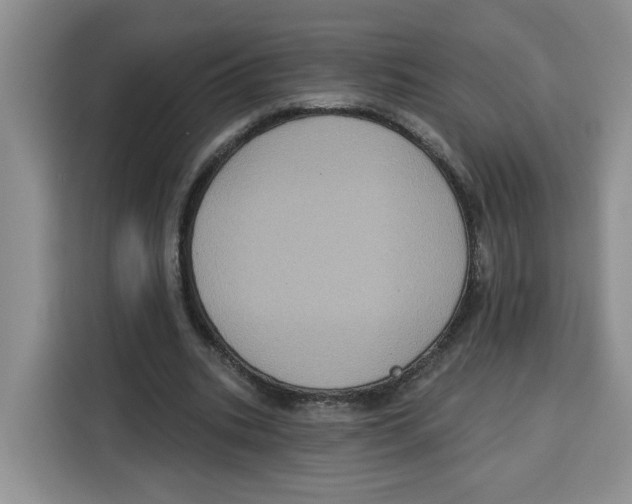 X0000115090535200911241215