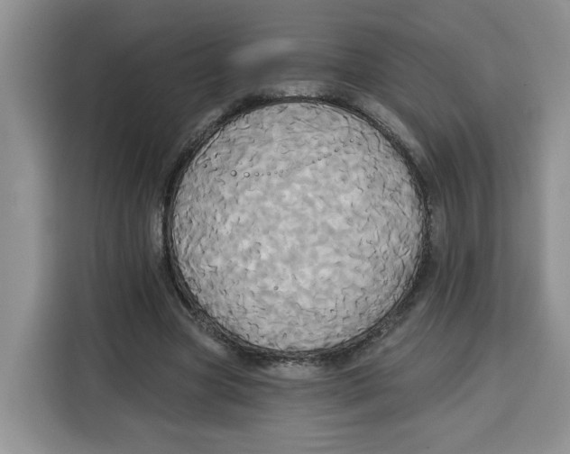 X0000115090537200911241215
