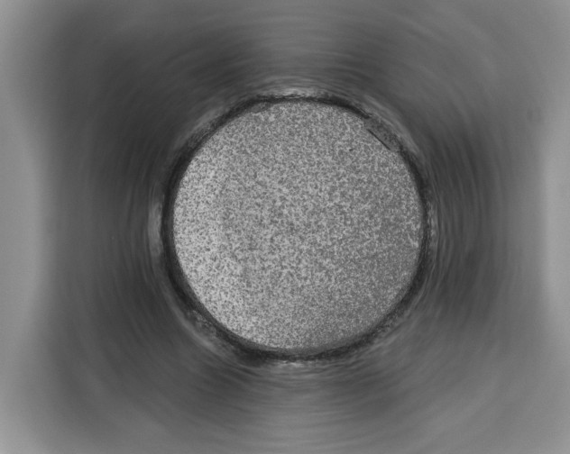 X0000115090538200911241215
