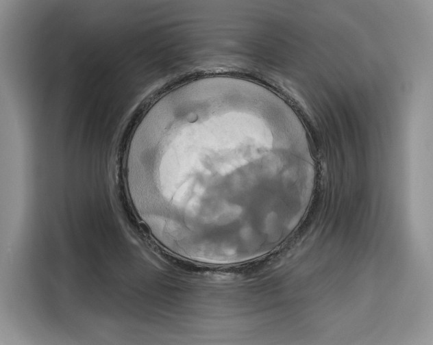X0000115090539200911241215