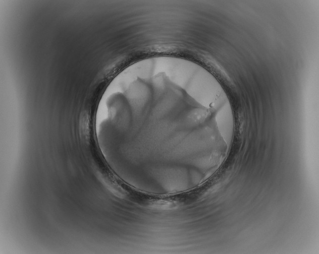 X0000115090542200911241215