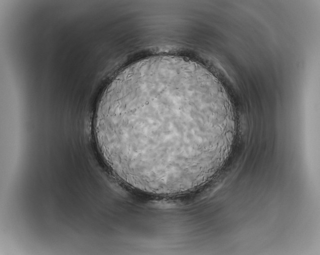 X0000115090545200911241215