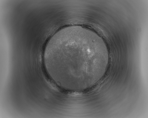 X0000115090546200911241215