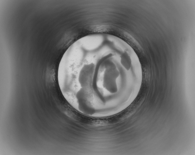 X0000115090549200911241215
