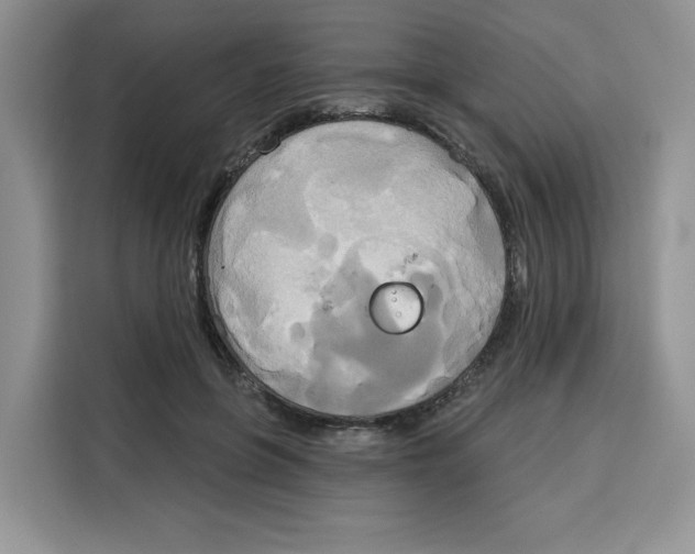 X0000115090551200911241215
