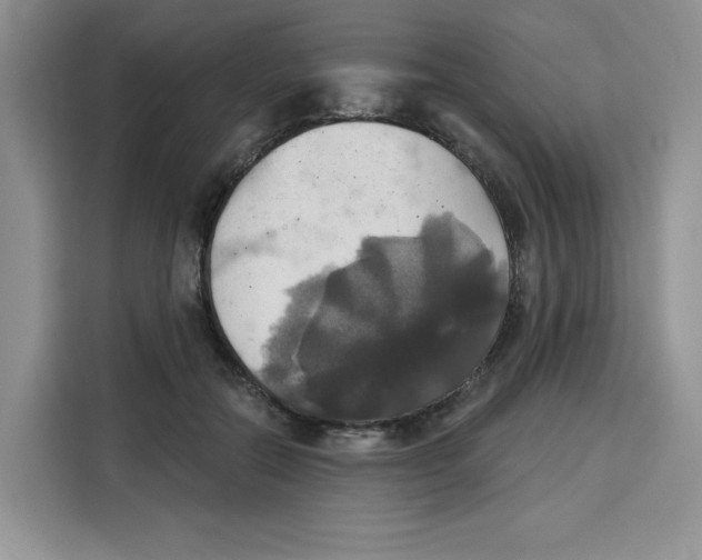 X0000115090554200911241215