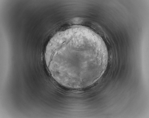 X0000115090555200911241215