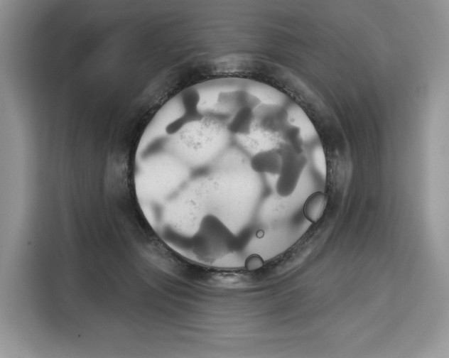 X0000115090557200911241215
