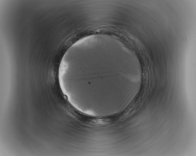 X0000115090558200911241215