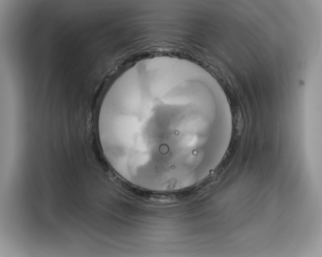 X0000115090559200911241215
