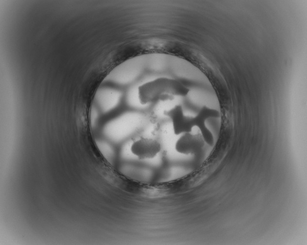 X0000115090561200911241215