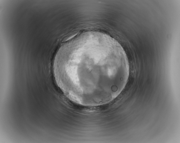 X0000115090563200911241216