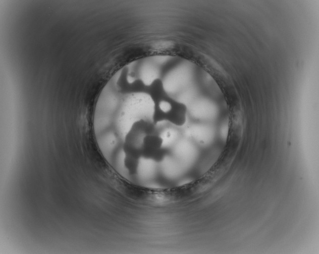 X0000115090565200911241216