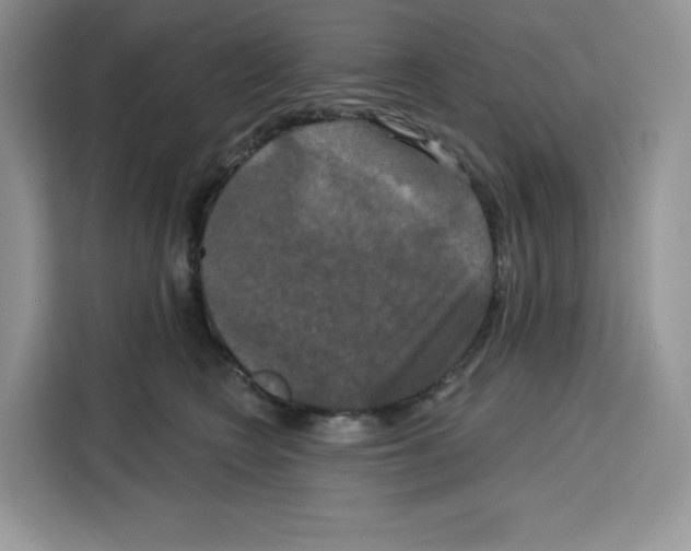 X0000115090566200911241216