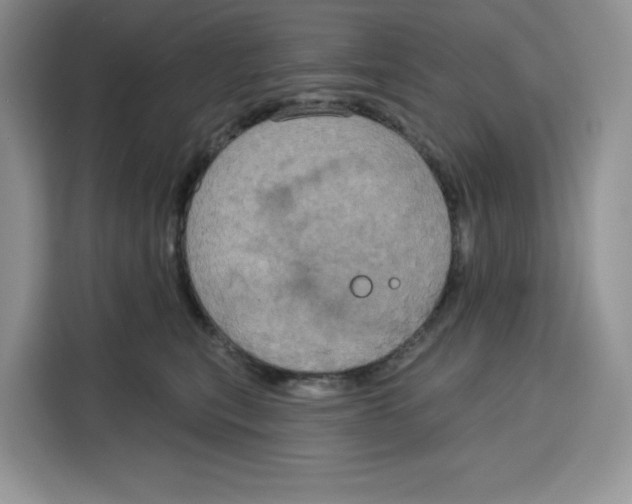 X0000115090567200911241216