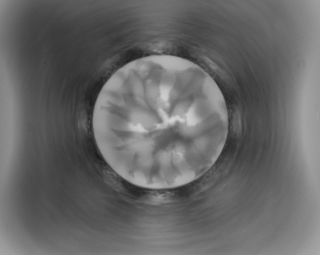 X0000115090569200911241216