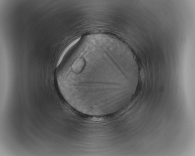 X0000115090570200911241216