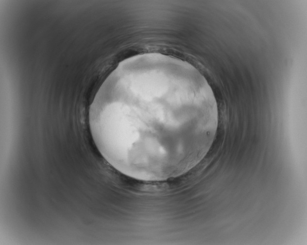 X0000115090571200911241216
