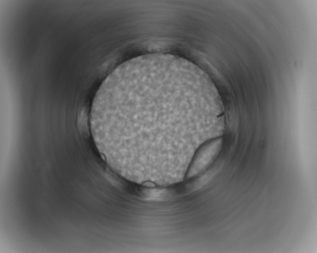 X0000115090575200911241216