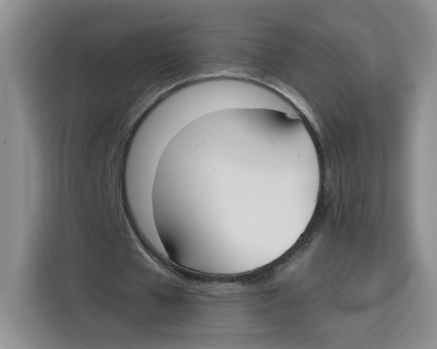 X0000115090577200911241215
