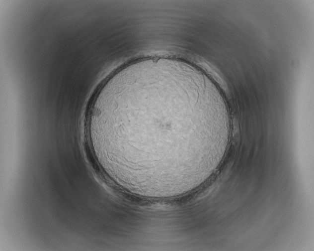 X0000115090578200911241215