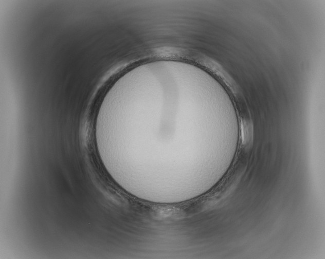 X0000115090579200911241215