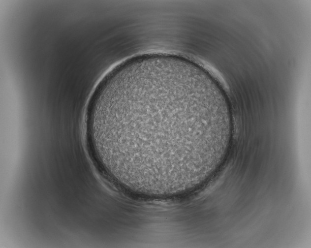 X0000115090580200911241215