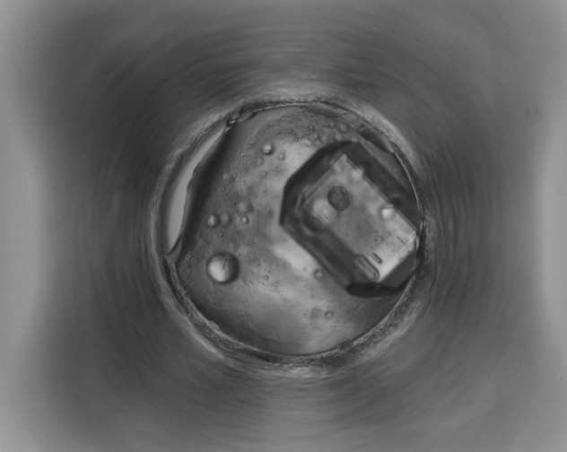 X0000115090581200911241215
