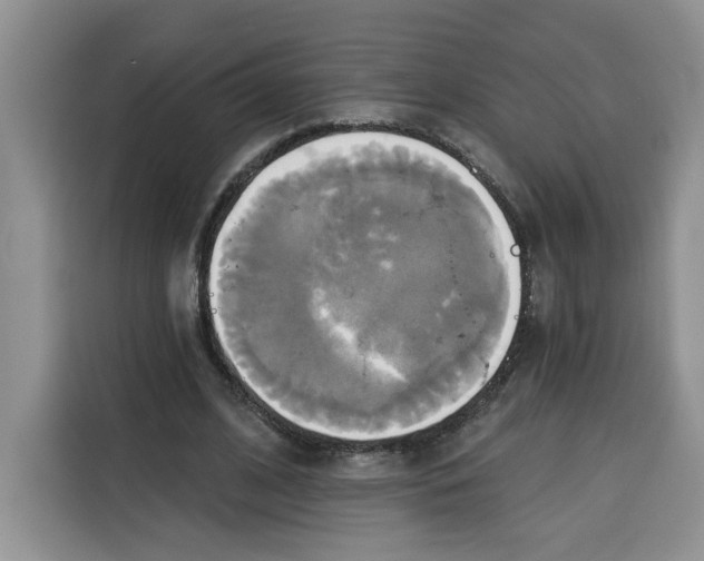 X0000115090584200911241215
