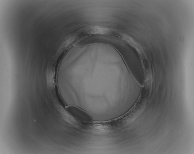X0000115090585200911241215