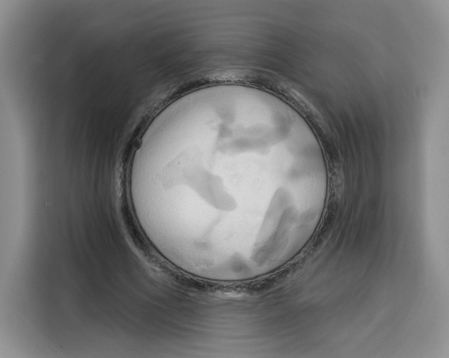 X0000115090586200911241215