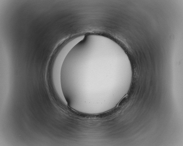 X0000115090587200911241215