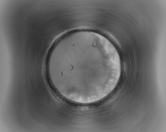 X0000115090588200911241215