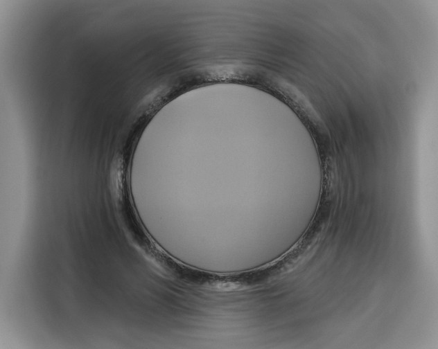 X0000115090590200911241215