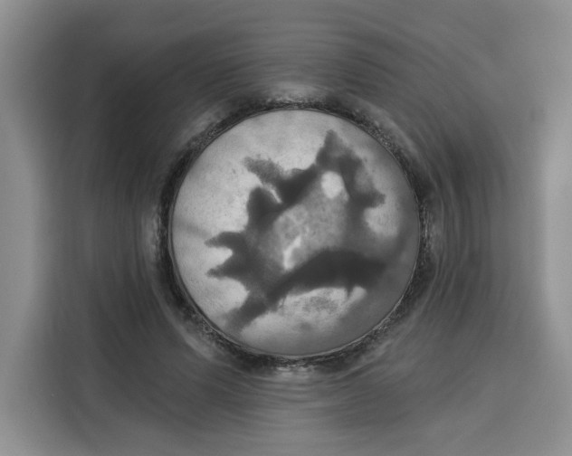 X0000115090591200911241215