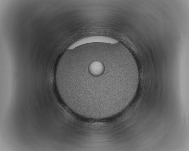 X0000115090593200911241215