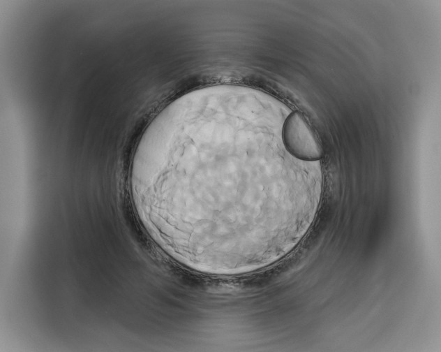 X0000115090594200911241215