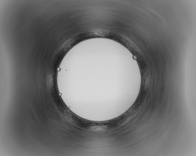 X0000115090595200911241215