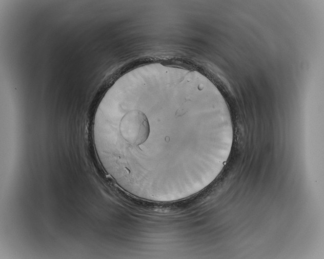 X0000115090596200911241215