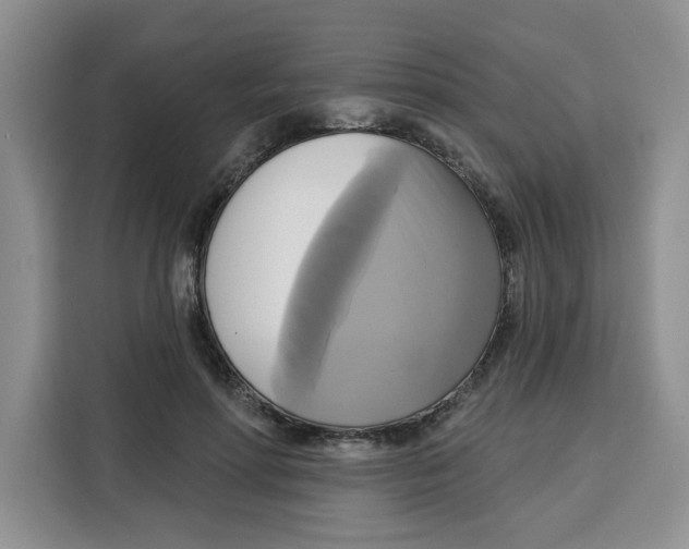 X0000115090598200911241215