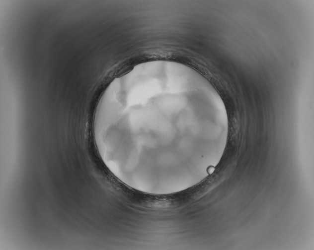 X0000115090600200911241215